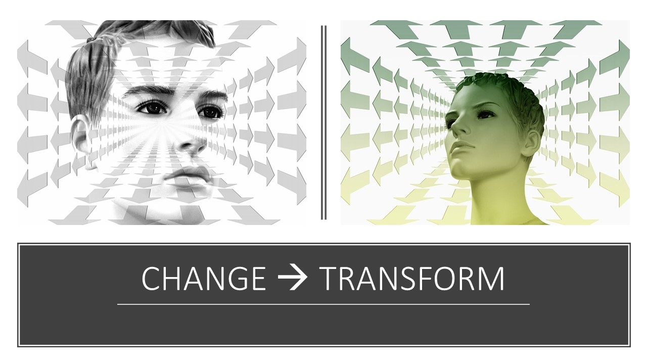 Can Individual Transformation Help An Organization?