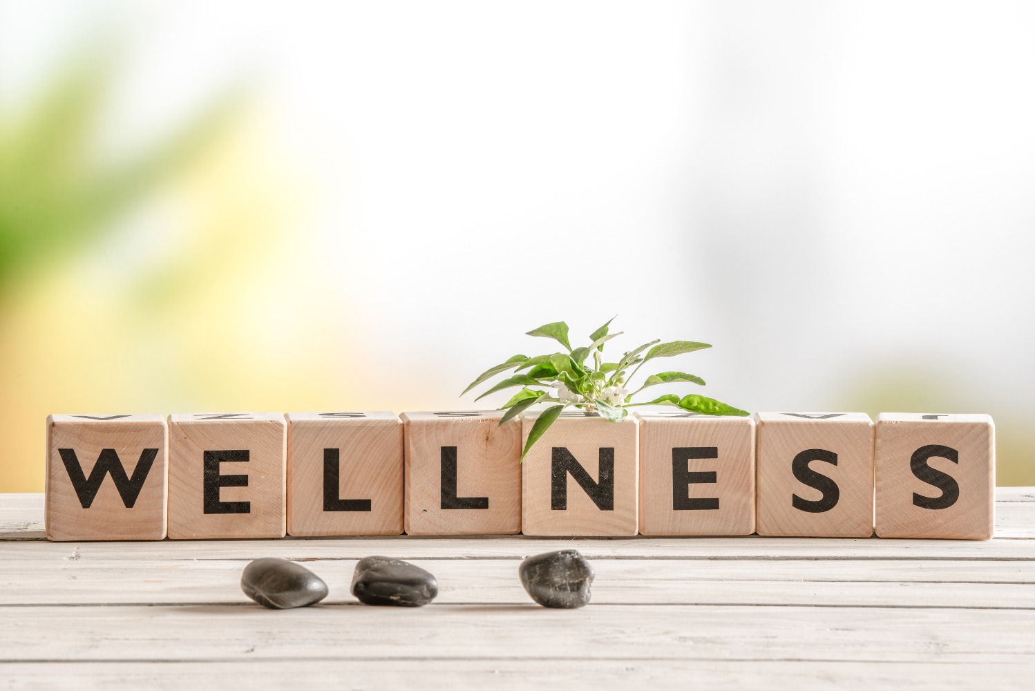What is your Wellness Quotient?